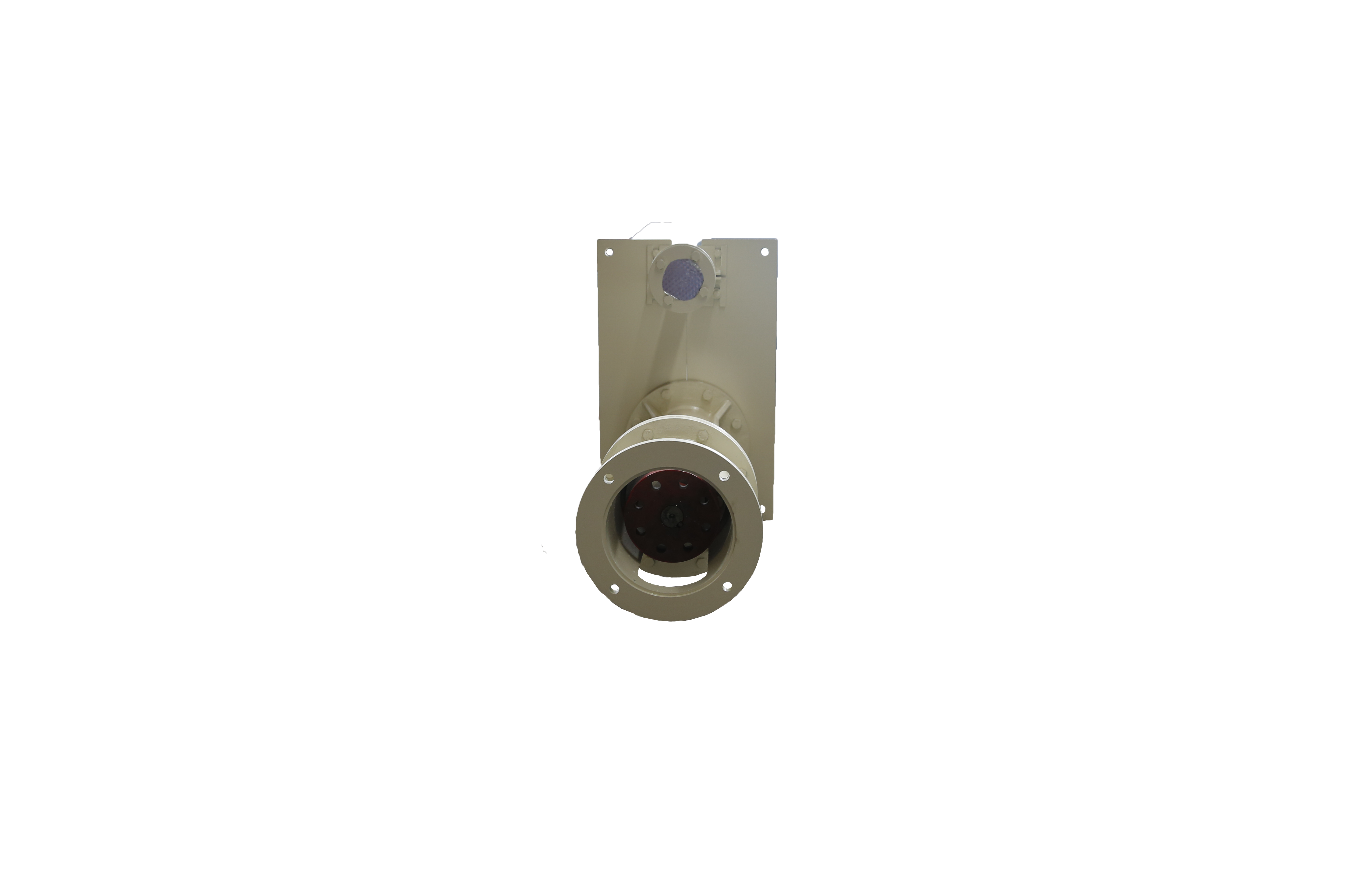 TZJL series Submerged Slurry Pump01